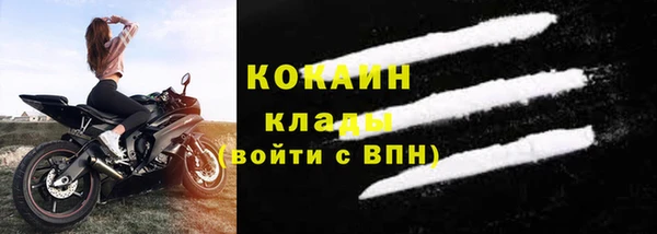 прущие грибы Зеленодольск