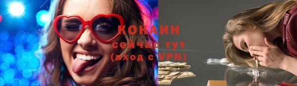 прущие грибы Зеленодольск