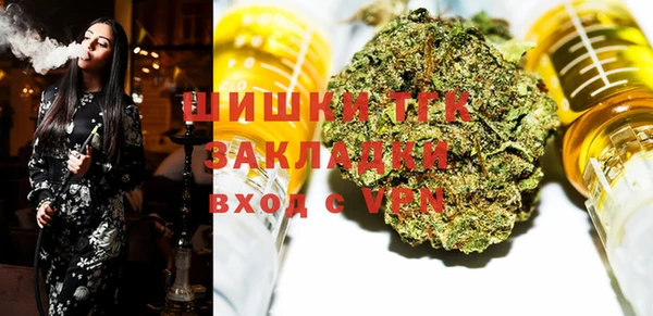 прущие грибы Зеленодольск