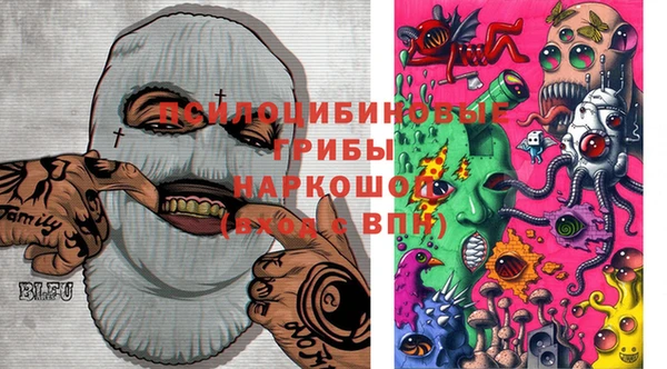 прущие грибы Зеленодольск