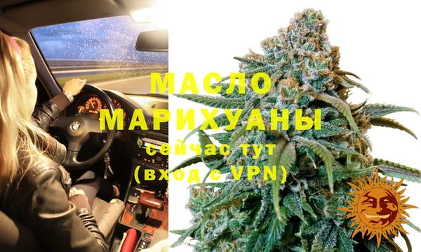 прущие грибы Зеленодольск