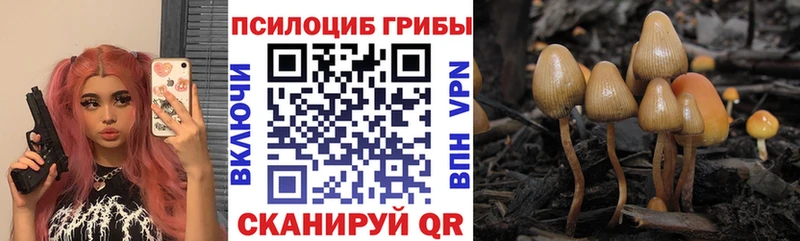 Купить закладки  Нарьян-Мар  Псилоцибиновые грибы Psilocybe 
